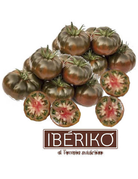Gallery tomate ib%c3%a9riko