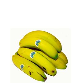 Plátanos Canarias EXTRA 1 Kg 