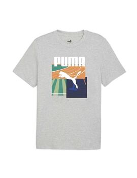 Camiseta Puma Graphics Summer Sports Gris Hombre