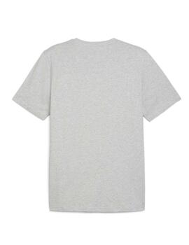 Camiseta Puma Graphics Summer Sports Gris Hombre