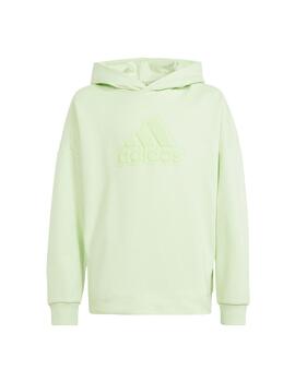 Sudadera Adidas U FI Logo Verde