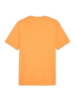 Camiseta Puma Ghaphics Mountain Naranja Hombre